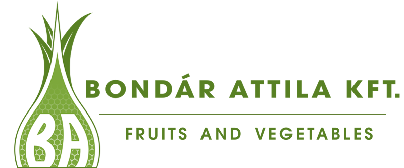 Bondár Attila Kft, Méhkerék